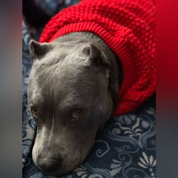 Meet your Posher, Debi - Picture 9 of 12